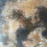 Imagine WhatsApp 2025-09-22 la 19.38.51_e4a9003e Imagine WhatsApp 2025-09-22 la 19.38.51_e4a9003e